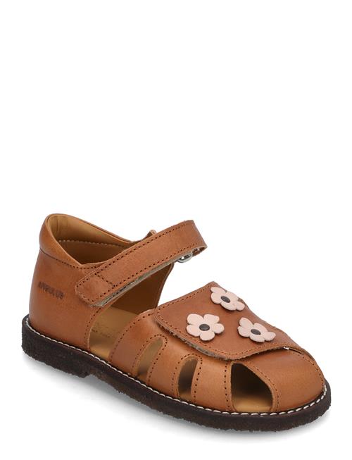 ANGULUS | Sandals - Flat  - Closed Toe | 22
