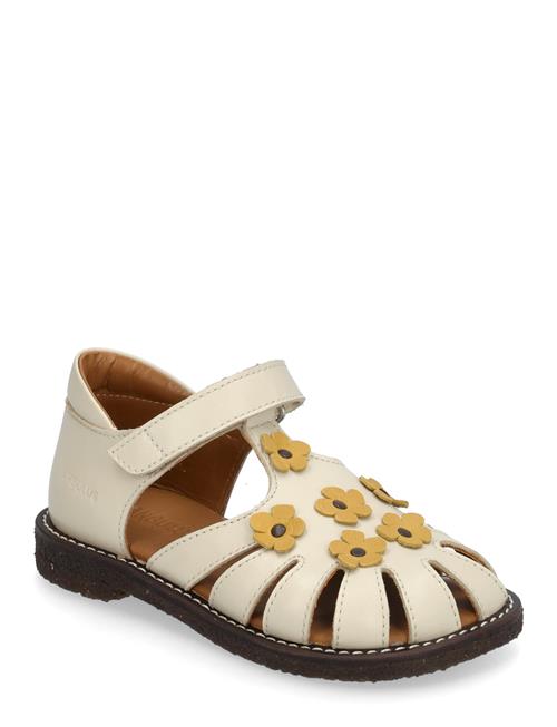 ANGULUS | Sandals - Flat  - Closed Toe | 26