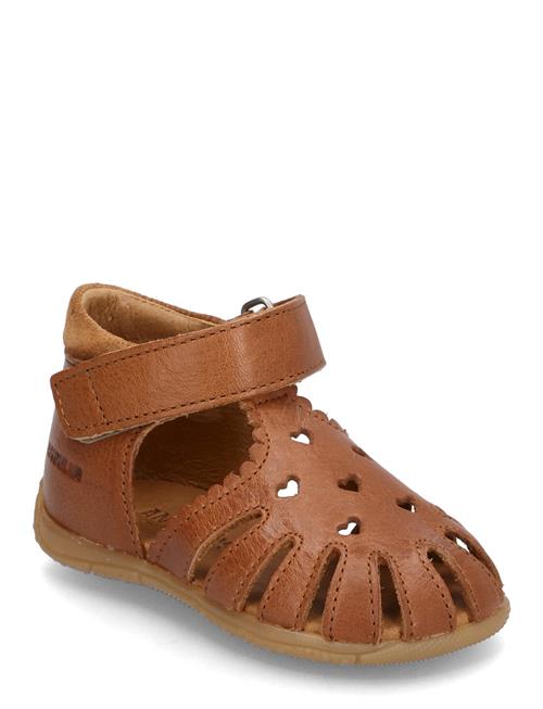 ANGULUS | Sandals - Flat  - Closed Toe | 22