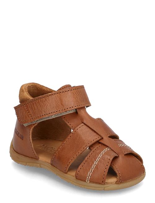 ANGULUS | Sandals - Flat  - Closed Toe | 22