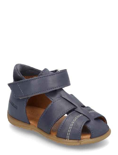 ANGULUS | Sandals - Flat  - Closed Toe | 21