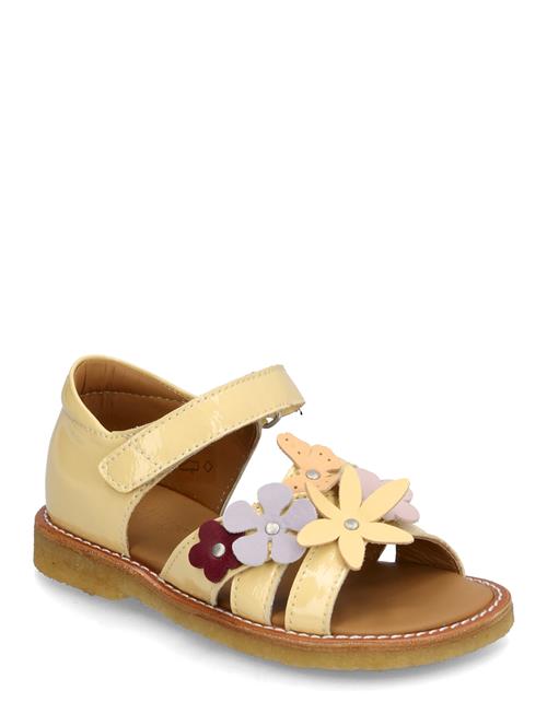 ANGULUS | Sandals - Flat  - Open Toe - Clo | 31