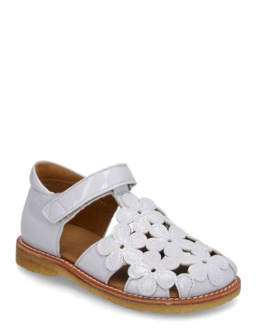 ANGULUS | Sandals - Flat | 28