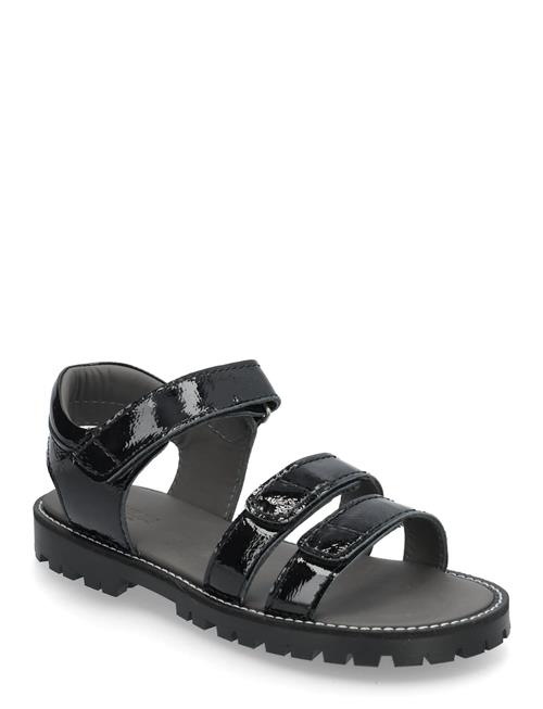ANGULUS | Sandals - Flat  - Open Toe - Op | 35