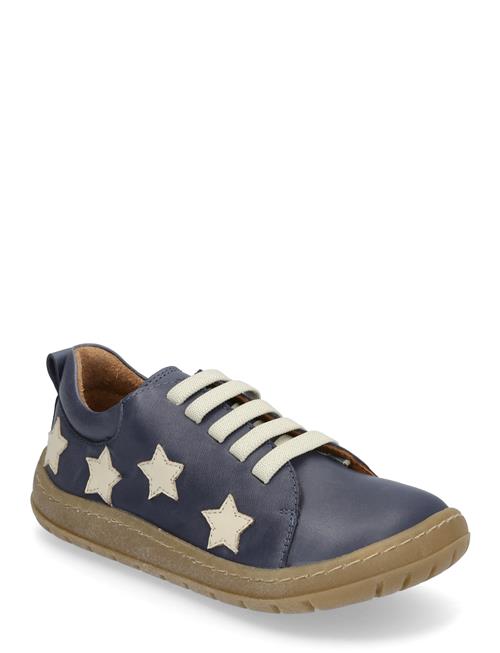 ANGULUS | Shoes - Flat - With Lace | 25