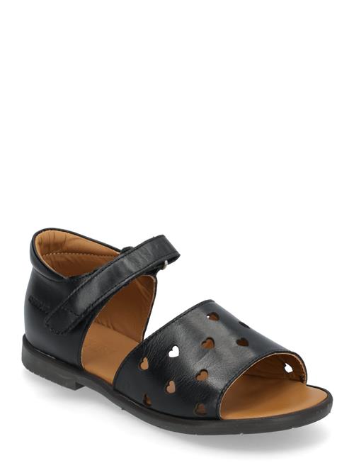 ANGULUS | Sandals - Flat  - Open Toe - Op | 31
