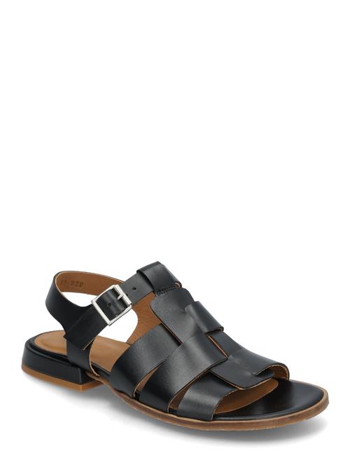 ANGULUS | Sandals - Flat  - Open Toe - Op | 37.5