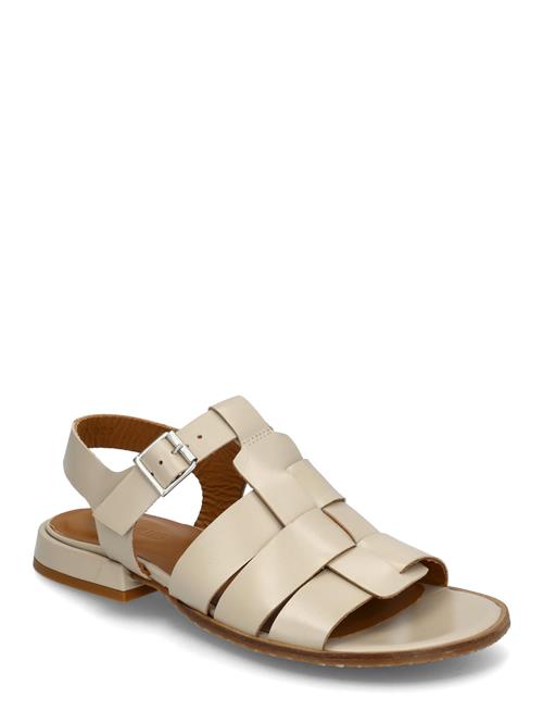 ANGULUS | Sandals - Flat  - Open Toe - Op | 36