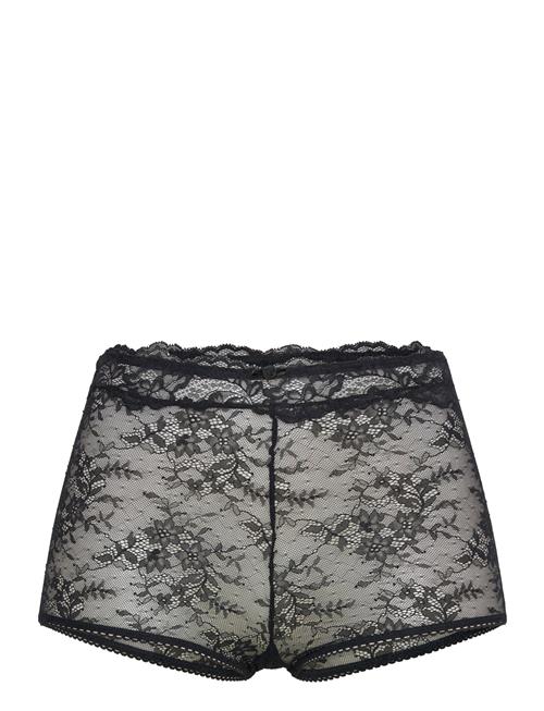 Dorina | Origins Boyshorts | L