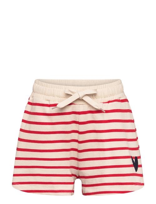 The New | Tnnil Shorts | 134/140