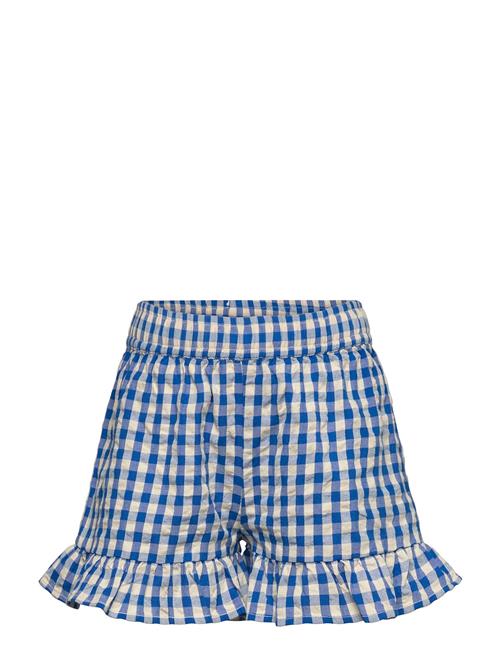 The New | Tnnally Shorts | 146/152