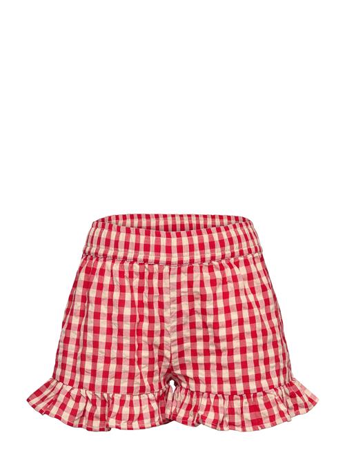 The New | Tnnally Shorts | 122/128