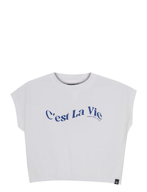 Indian Blue Jeans | T-Shirt Wide Cropped | 116