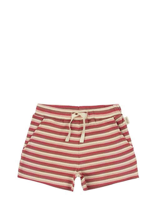 Petit Piao | Shorts Modal Multi Striped | 62