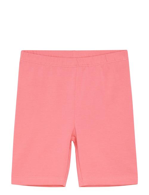 Minymo | Leggings Short | 128