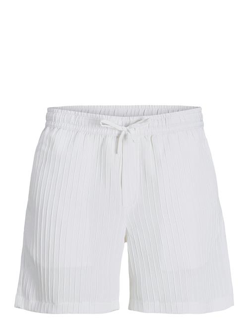Jack & Jones | Jpstjaiden Massimo Jogger Shorts Srt | L