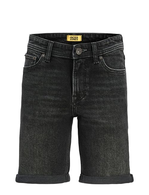 Jack & Jones | Jjirick Jjoriginal Shorts Am 360 Sn Mni | 122
