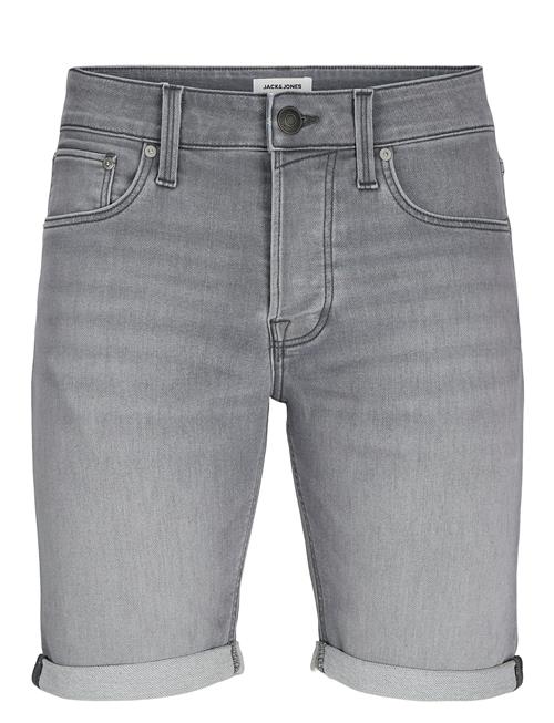 Jack & Jones | Jjirick Jjicon I.k. Shorts Ge 063 Sn | L