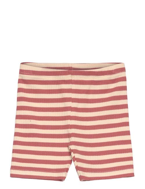 The New | Tnstfro Uni Tight Rib Shorts | 110