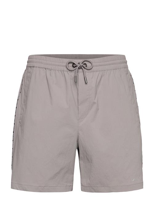 Daily Paper | Mehani Shorts | L