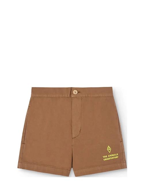 THE ANIMALS OBSERVATORY | Pig Kid Shorts Brown | 4 Y