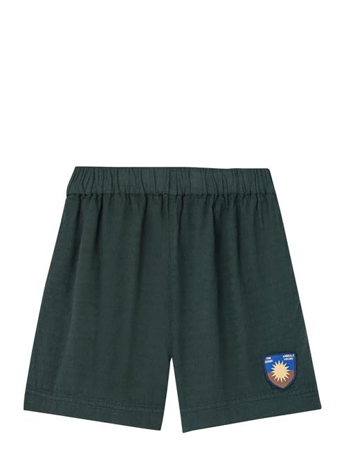 THE ANIMALS OBSERVATORY | Bee Kid Bermuda Shorts Deep Green | 4 Y