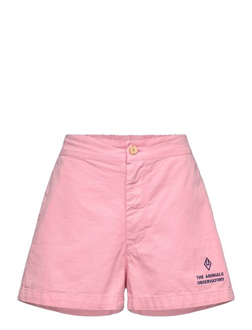 THE ANIMALS OBSERVATORY | Pig Kid Shorts Pink | 3 Y