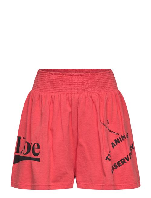THE ANIMALS OBSERVATORY | Ostrich Kid Shorts Red | 10 Y