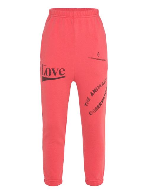 THE ANIMALS OBSERVATORY | Dromedary Kid Sweatpants Red | 8 Y