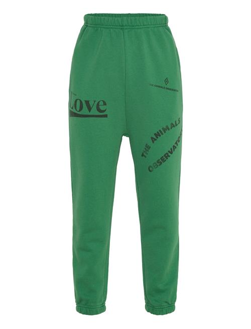 THE ANIMALS OBSERVATORY | Dromedary Kid Sweatpants Green | 8 Y