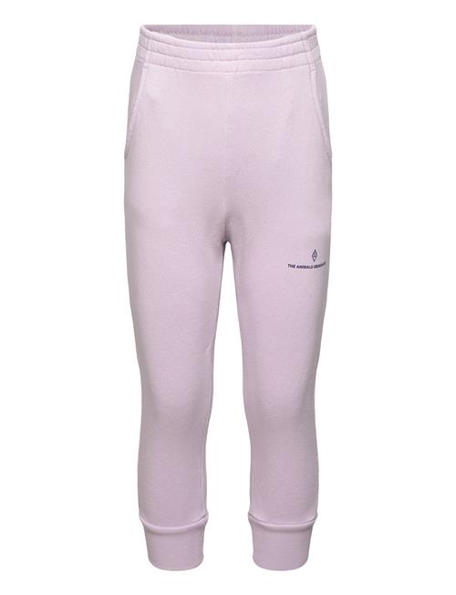 THE ANIMALS OBSERVATORY | Draco Kid Sweatpants Lavand | 3 Y