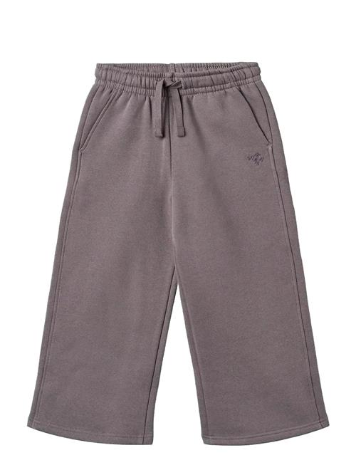 Wheat | Sweatpants Straight Cruz | 98