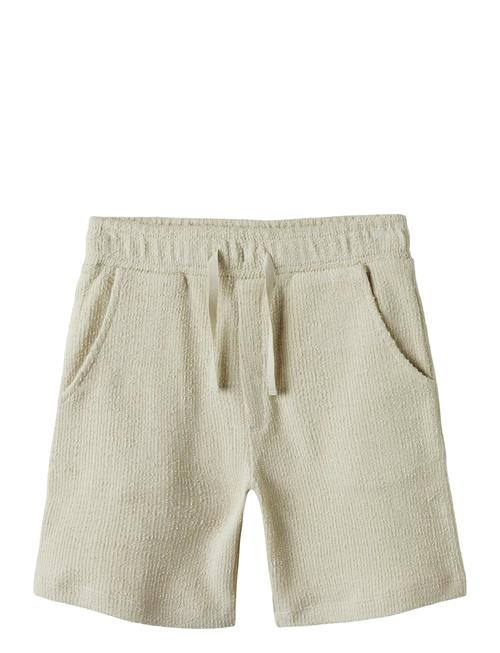 name it | Nkmhivaj Nreg Shorts | 152