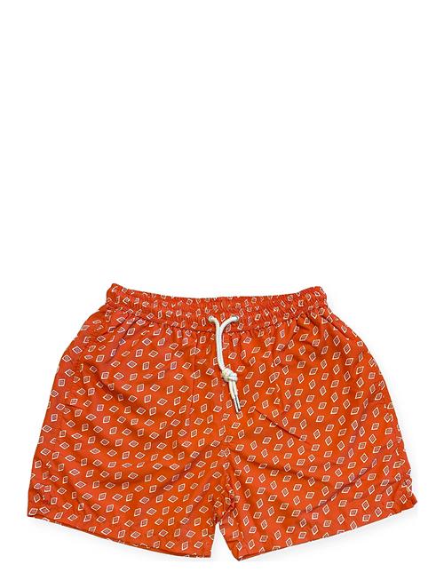 Portia 1924 | Retro Swim Shorts | XXL