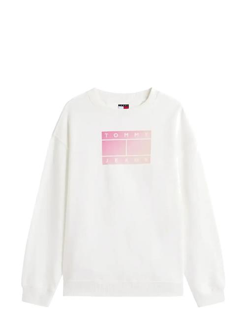 Tommy Jeans | Tjw Rlx Gradient Flag Crew | XS
