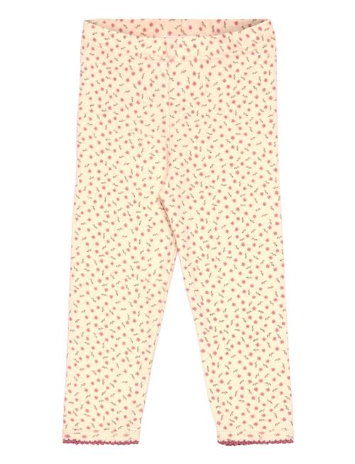 The New | Tnsbodette Pointelle Leggings | 68