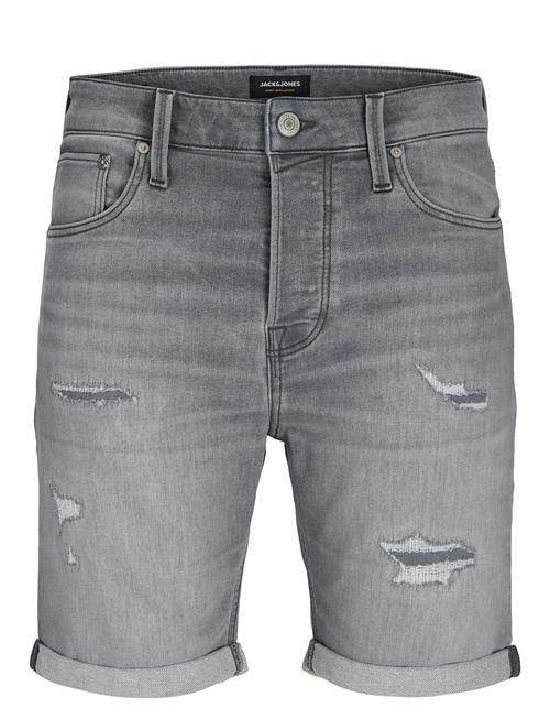 Jack & Jones | Jjirick Jjicon I.k. Shorts Ge 064 | XL