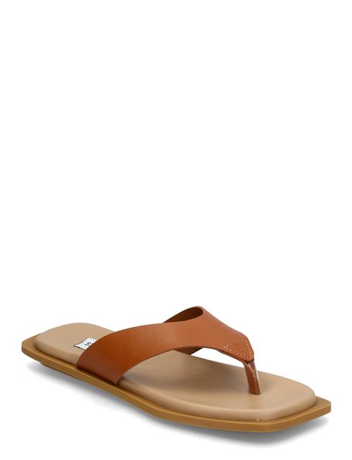 Steve Madden | Splash Sandals | 41