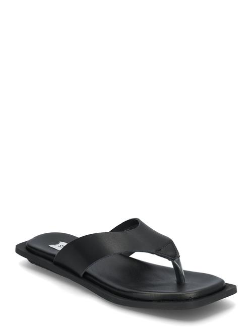 Steve Madden | Splash Sandals | 38