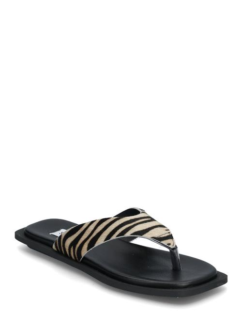 Steve Madden | Splash-L Sandals | 38