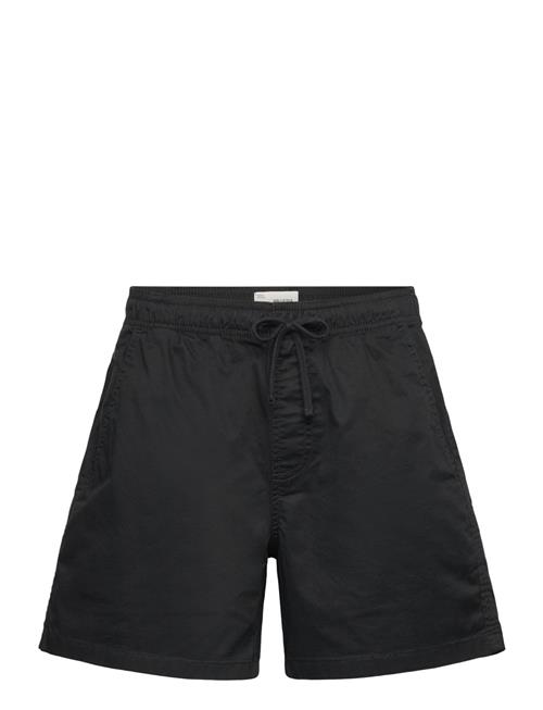 Hollister | Hco. Guys Shorts | M