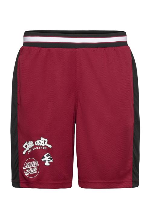 Santa Cruz | Winkowski Ocho Mesh Shorts | S