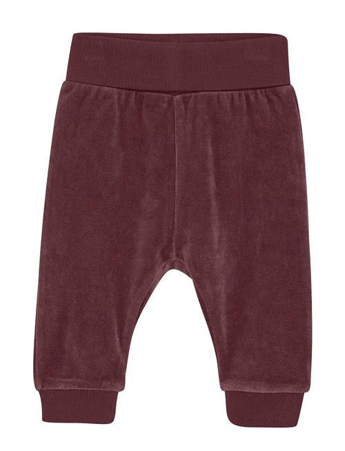 Fixoni | Pants Velour | 62