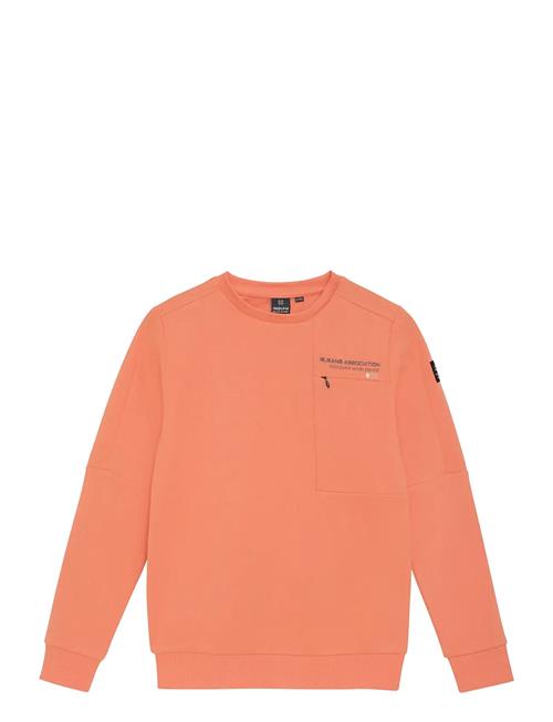 Indian Blue Jeans | Sweater Chest Print Brushed | 128