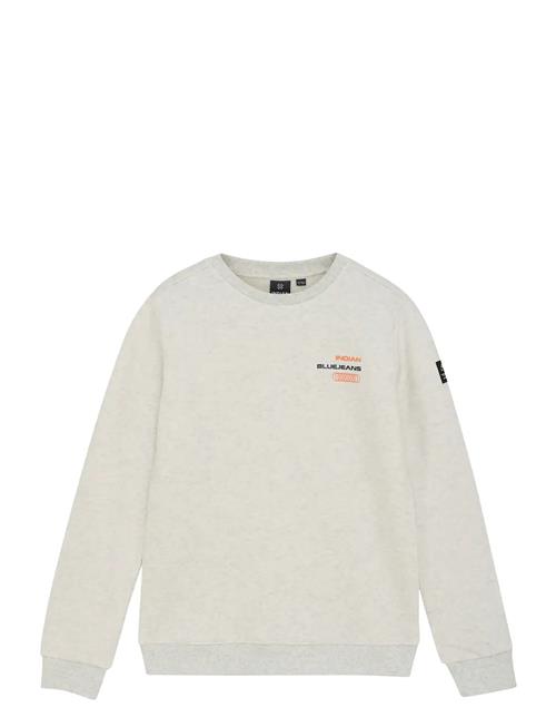Indian Blue Jeans | Loose Fit Sweat Melange | 164