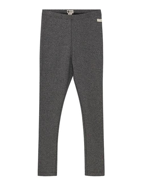 Daily 7 | Legging Fancy Pants | 122