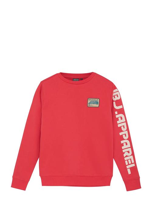 Indian Blue Jeans | Sweater Print Sleeve | 164