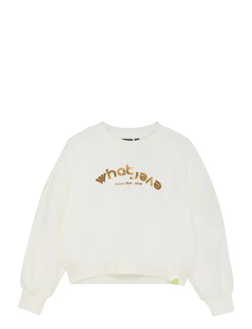 Indian Blue Jeans | Sweater Foil | 176