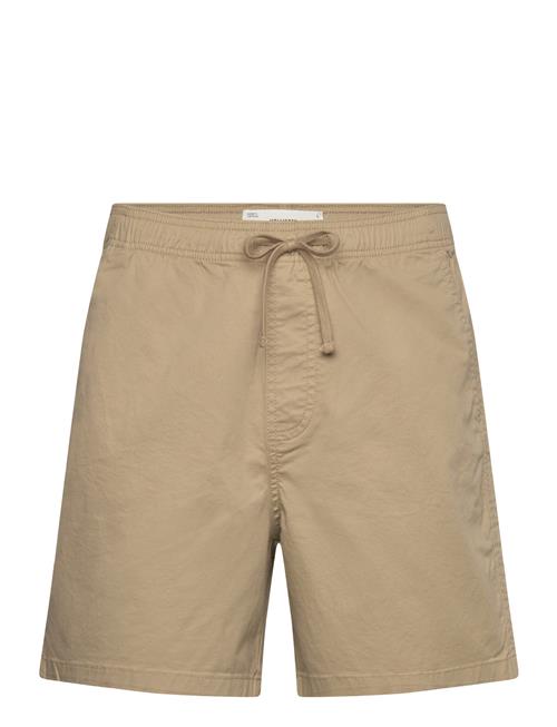 Hollister | Hco. Guys Shorts | M