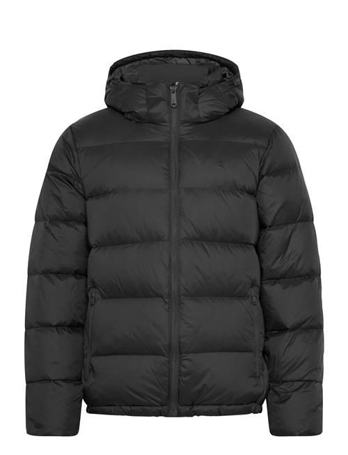 Calvin Klein Jeans | Ls Nylon Zip Off Hood Down Puffe | XL